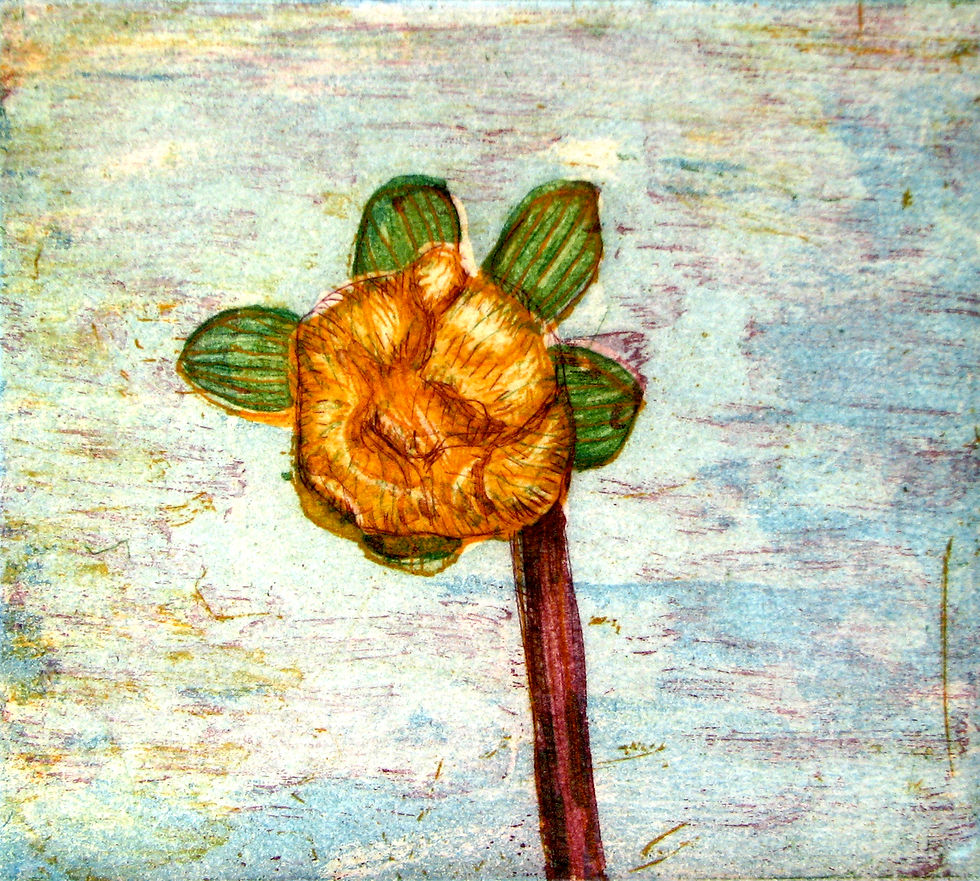 Dahlia (1st state)