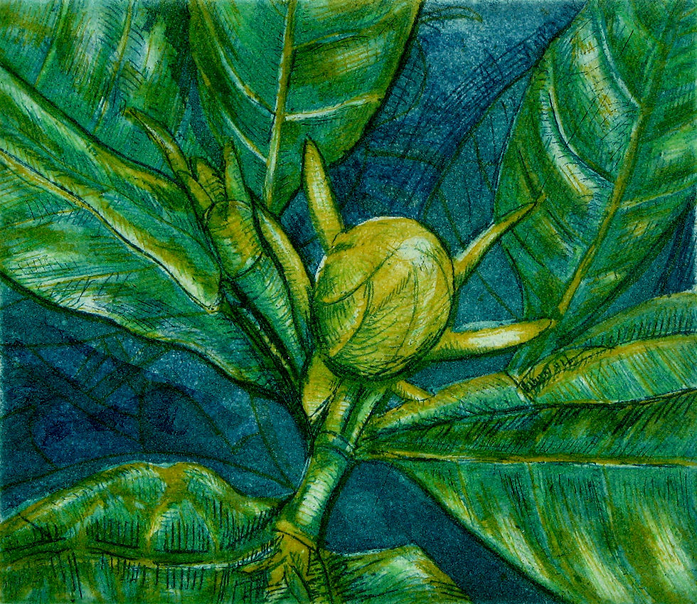Gardenia (1st state)