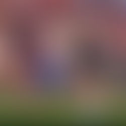 The 2024-25 La Liga Story