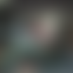 From Conventions to Contraventions: A Failure of International Accountability in Palestine’s Tragedy