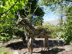 Steve the Stag - Lake's End Lodge