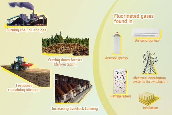 Factors that contributes to climate change