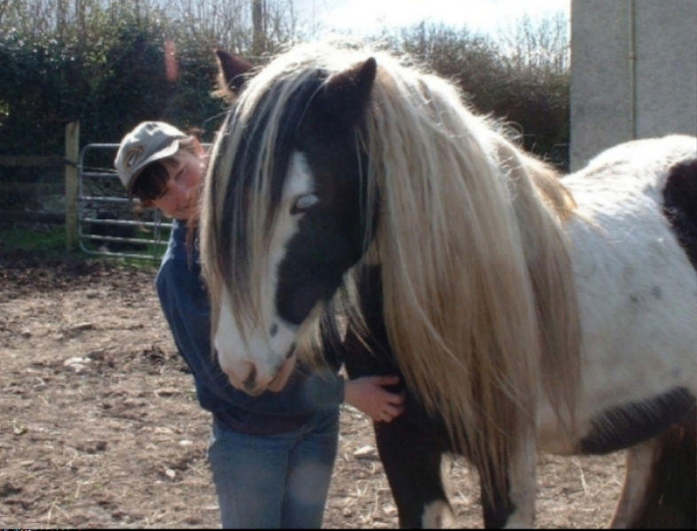 waiting for the foal.jpg