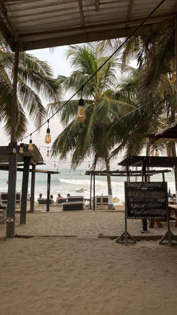 Zanz_Beach_Front2