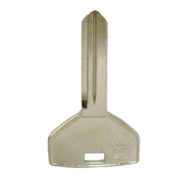 Metalic key