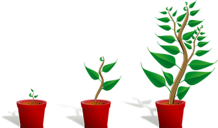 Naturkunde_sapling-154734_1280.png