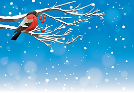 Vogel_Winter.png
