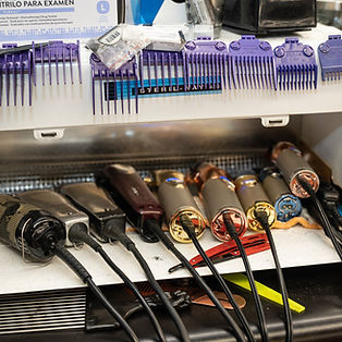 photo of clippers in a clipper sterilizer