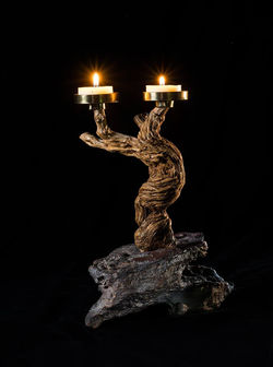 10628745_292509774287511_420829869911713954_o (1)