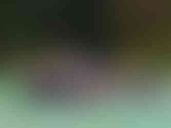 Skupina účastníků při canyoningu ve smaragdové vodě na Filipínách.