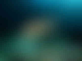 Mořská želva plavající nad korálovým útesem na Filipínách.