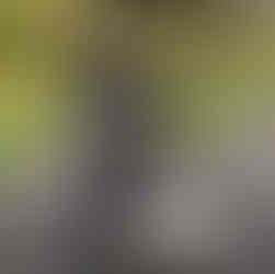 Honza, zakladatel CK Cestuj s Honzou, v islandské přírodě během svého života na Islandu.