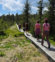 Turistika po horských stezkách Jizerských hor s CK Cestuj s Honzou.