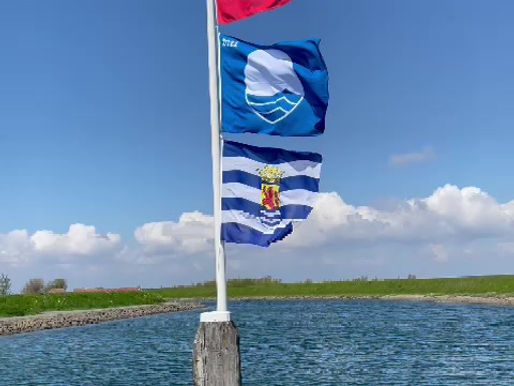 BLauwe Vlag