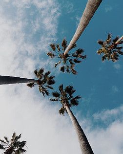 wil-stewart-K_TbABnVzHo-unsplash.jpg