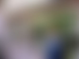 A teen stands in front of a taco stand in the mall