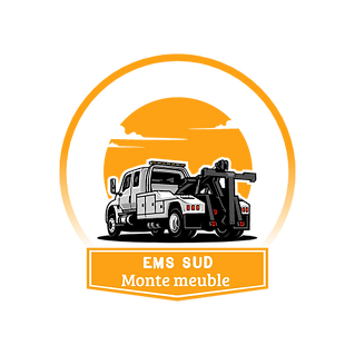 LOGO EMS SUD