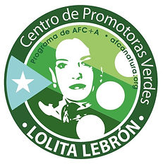 boton lolita.jpeg