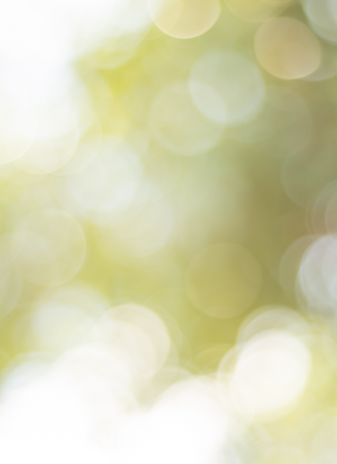 Green Bokeh