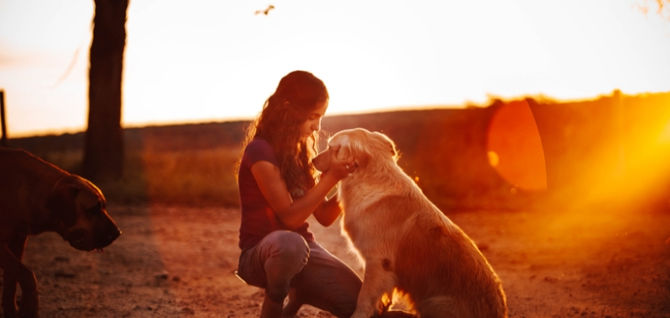 Why Might Interacting with Pets Help Improve Emotional Regulation and Mood in Adults with ADHD?