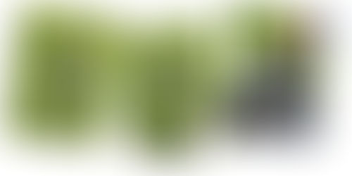 Infinite Zero Torque från Wilson – prisvärd stabilitet!