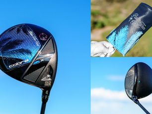 Cobra + Kygo + Palm Tree Crew = Sant!