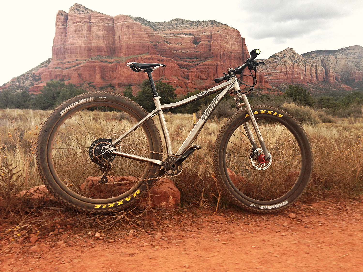 Titanium BREEZY 29+ (Frame)