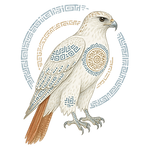 hawk3.png