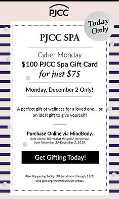 MKTG.A1098a_SPA_Cyber_Monday_Email.jpg