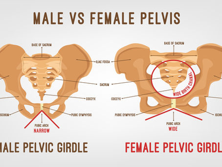 “In and Up” Made Simple: Breathing, Core Pressure & Pelvic Floor Health for Women and Men