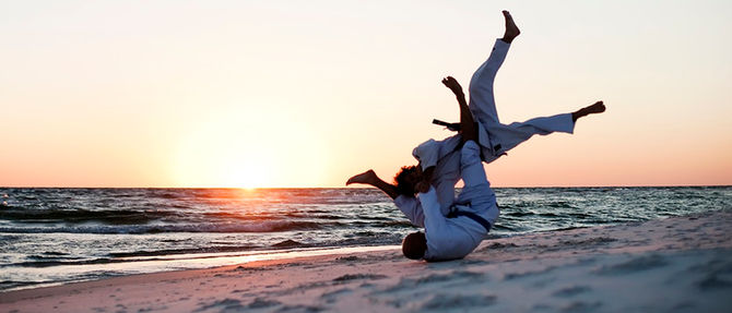 bjj will change your life...