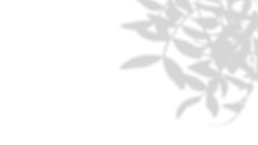 sombras_jatoba_semfundo.png