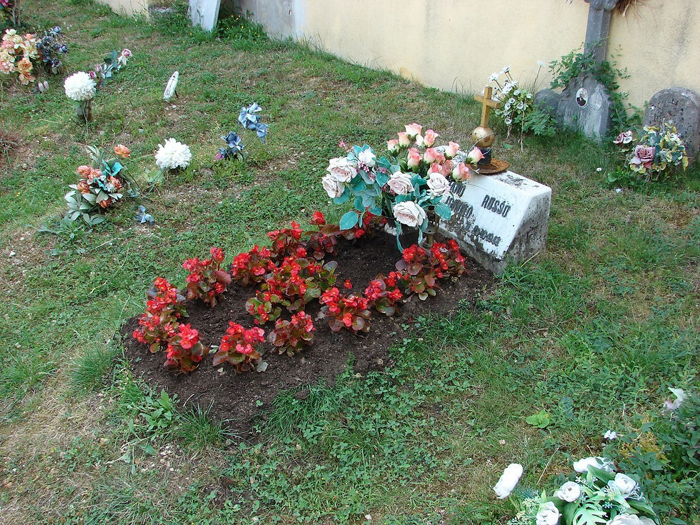 ZJqDEIWKHv0.jpg
