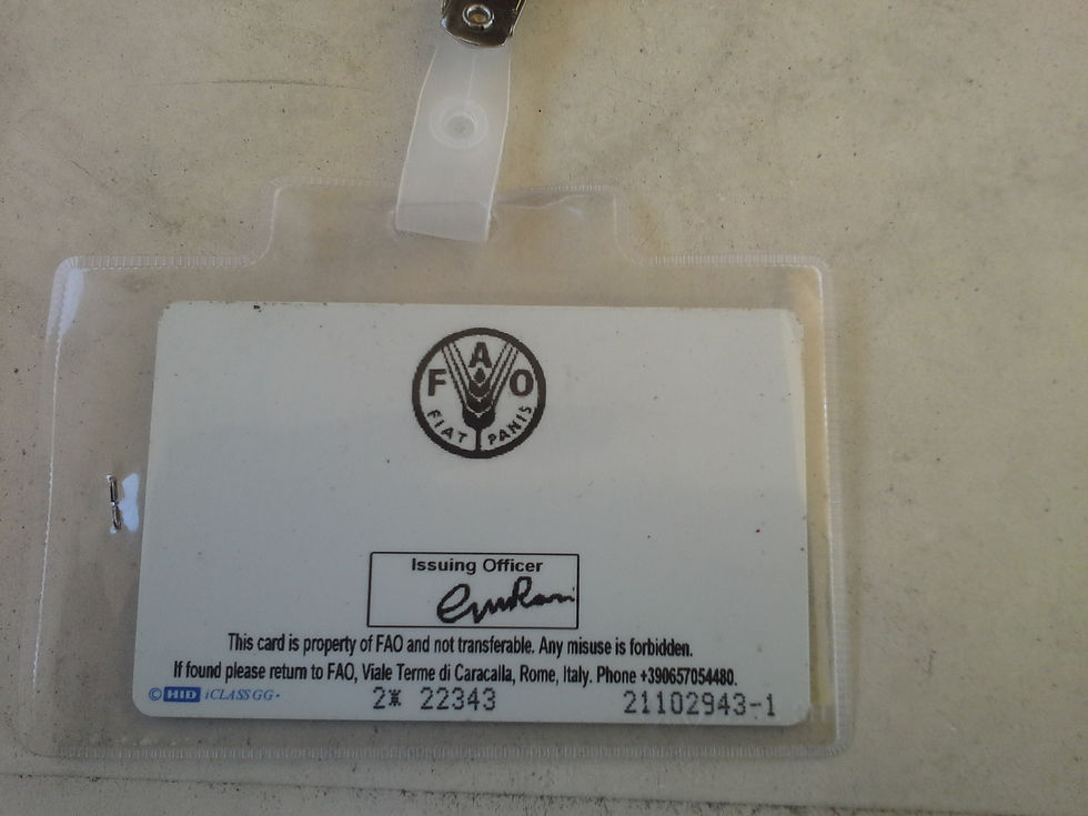 20130906_133044.jpg