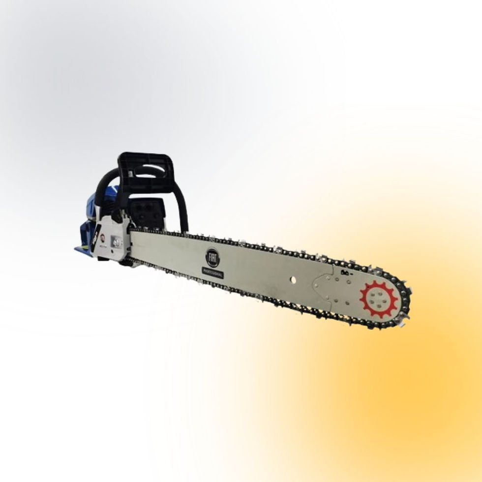 Miniatura: CASTORI 5922