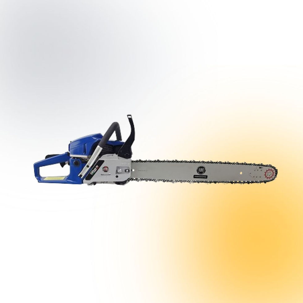 Miniatura: CASTORI 5922