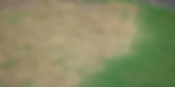 lawn-disease.png