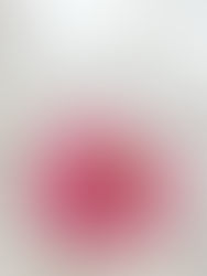 Pickled Onions