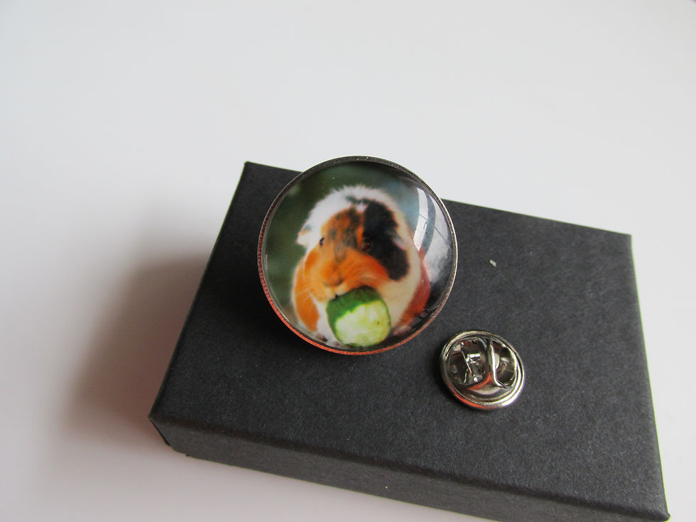 Thumbnail: Handmade Black Brown White Guinea Pig Pet Themed - Round Lapel Pin Badge