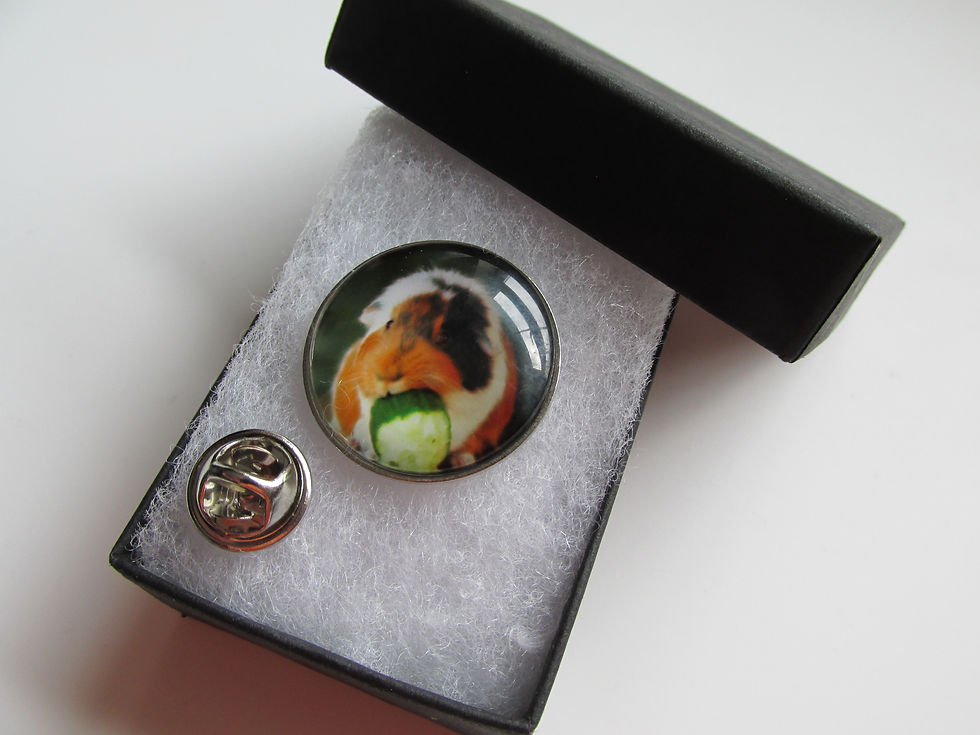 Thumbnail: Handmade Black Brown White Guinea Pig Pet Themed - Round Lapel Pin Badge