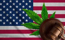 Executive Order on Medical Marijuana and Hemp-Derived Cannabinoid Research