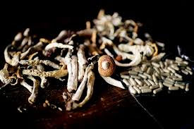 Oregon Psilocybin Services (OPS) 2025 Rulemaking Update
