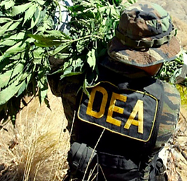Law Enforcement.png