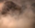 WGT photo.png