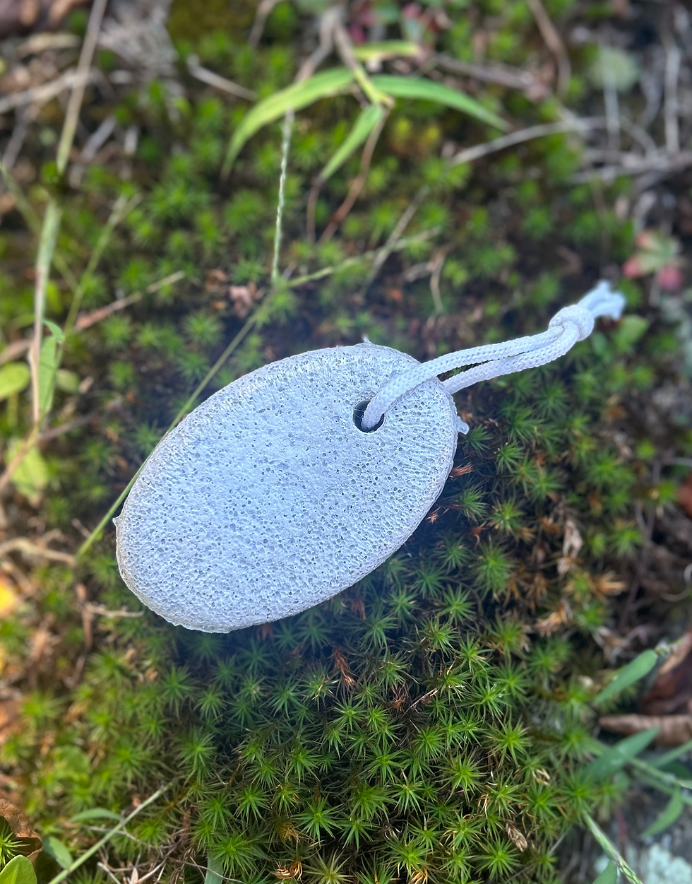 pumice stone