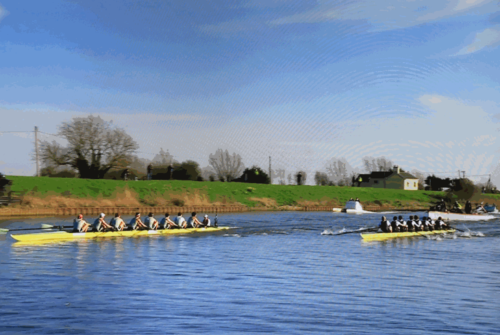 IMG_8737 (2) (Copy).gif