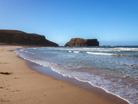 Bushrangers Bay walk from Cape Schanck