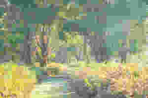 A walking path in a small bush