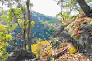 Conglomerate rocks at Peterson's Lookout