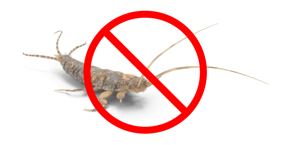 WHITSUNDAY-WIZARD-SILVERFISH-PEST-CONTOL-SERVICE.gif